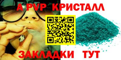 шишки Кимры