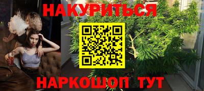шишки Кимры