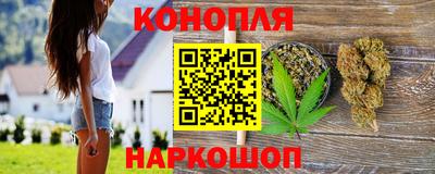 шишки Кимры