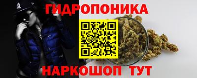 шишки Кимры