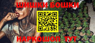 шишки Кимры