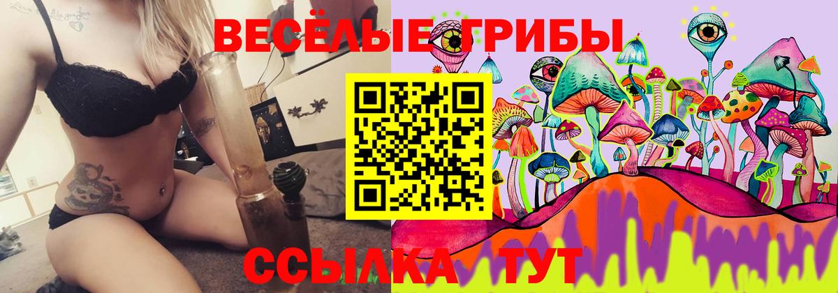 Галлюциногенные грибы Psilocybine cubensis Янаул