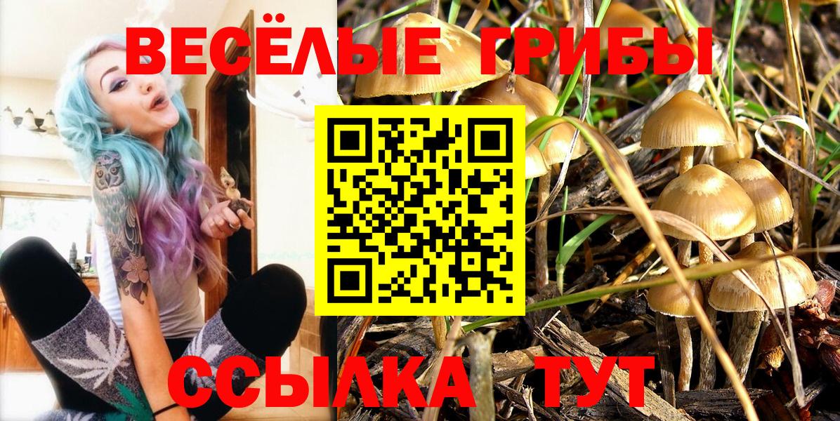 Галлюциногенные грибы мицелий  где продают наркотики  Псилоцибиновые грибы Psilocybe  Янаул  Вход с VPN 